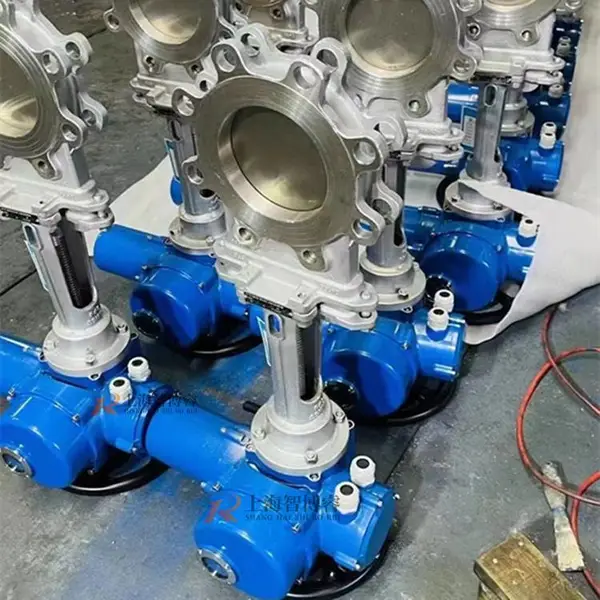 ��ˮ������������й©�綯��բ��DMPZ73X-10C-DN80 ��巧