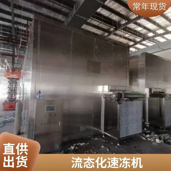 汇海 大型海参隧道式速冻机 全自动急冻流水线 速冻水饺机厂家