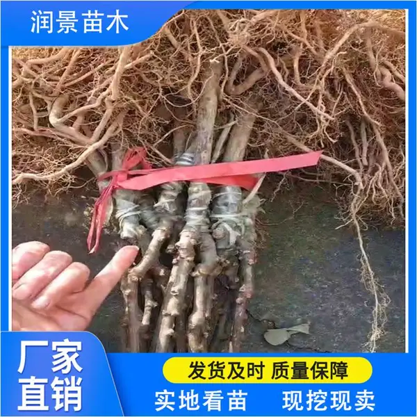 ̩��⨺�������� ����⨺����������� ��ϵ���� ���ʵ���