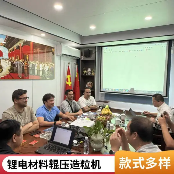 碳酸锂造粒机厂家 锂电材料造粒设备 干法造粒机 非标定制