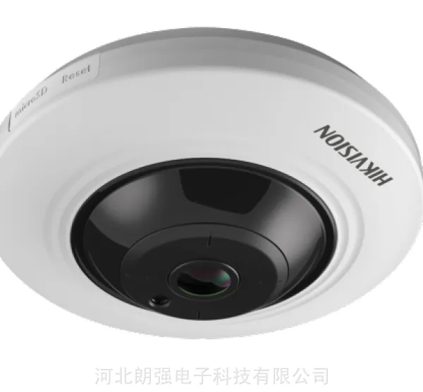海康威视 石家庄500万全景高清红外监控摄像机DS-2CD3955FWD-IWS