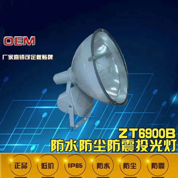 规格齐全防爆投光灯 适用性强防爆投光灯 ZT6900(C)防爆投光灯