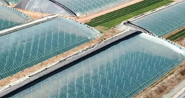 陕西农用二膜哪家好 山东守正塑业供应