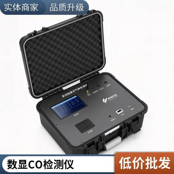 便携式一氧化碳检测仪 快速响应 探头可换 锅炉房安全巡检 支持贴牌
