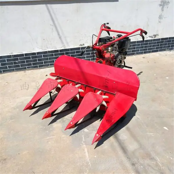 ��Ҷ��ֱ¢�ո������ʽ���͸�ɹ��-