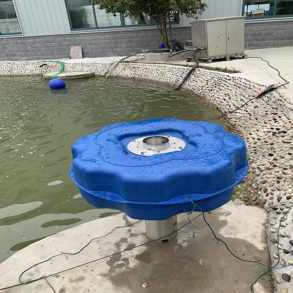 引水渠景观水处理设备 喷泉曝气器 不锈钢材质水体景观机