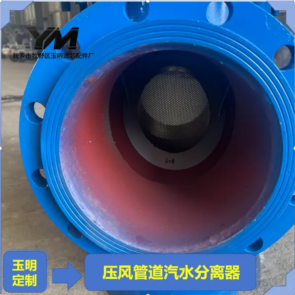 压风管道汽水分离器 PN16 法兰矿用压风汽水分离设备