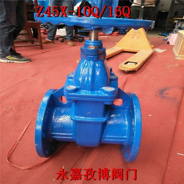 自来水管道闸阀 Z45X-16Q DN450 暗杆球墨铸铁弹性闸阀 Z465X-10Q 温州供应