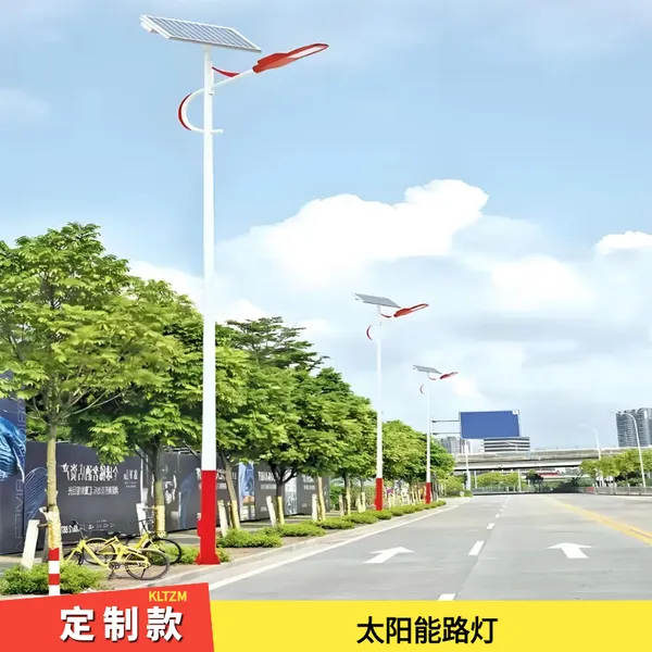 济宁太阳能路灯 6米30瓦农村户外亮灯LED照明 按需生产快速发货