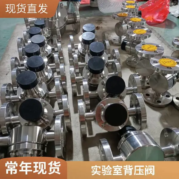 BYF-16RL DN125计量泵出口法兰连接不锈钢316L背压阀