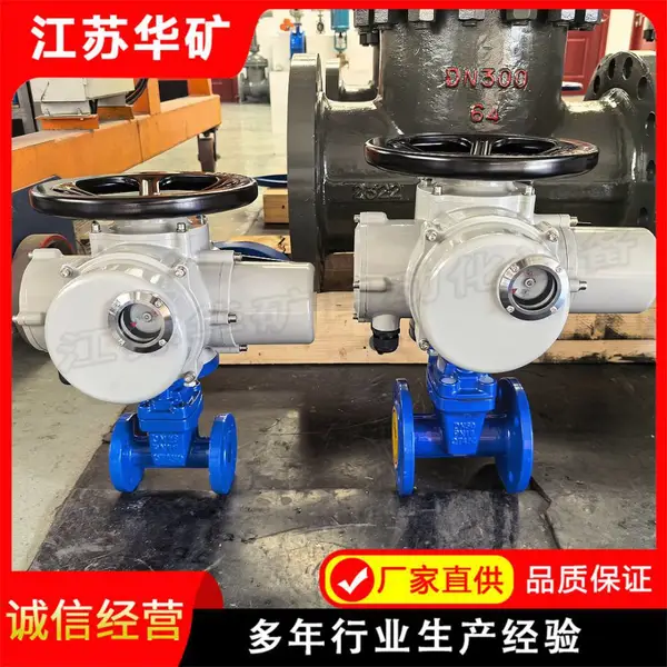 弹性座封闸阀Z945X-10Q DN65 电动执行器防护好户外供水可用