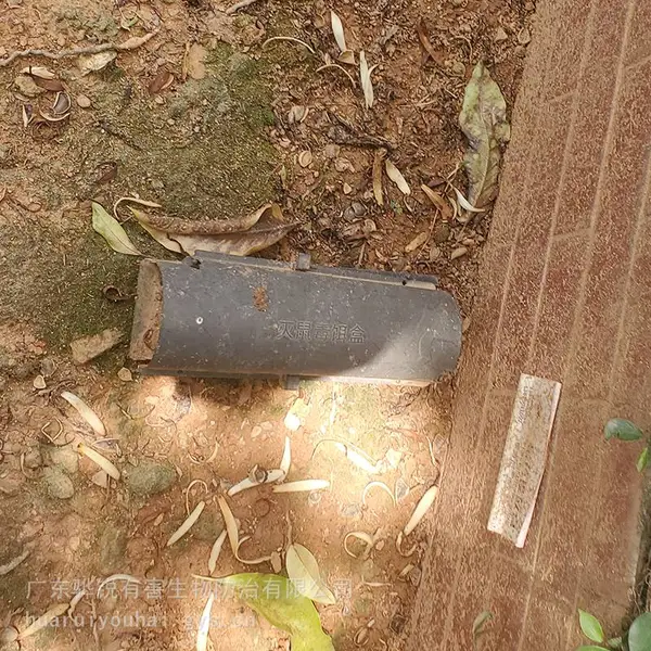 佳木斯灭苍蝇 佳木斯杀虫灭鼠机构 就近派工 标准化作业