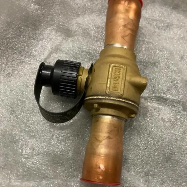 ��Ӧ Emerson EHS ���� BVE-118
