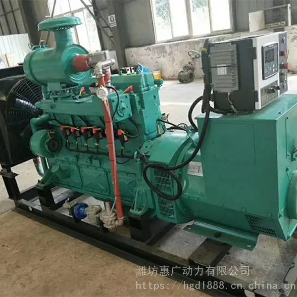 吉林120KW牛粪沼气发电机 牛粪发电机组 牛粪发酵有机肥设备