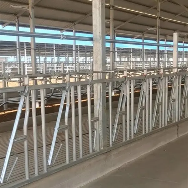 养牛设备牛颈枷 牛颈枷配件抱卡 牛颈枷图片 牛脖夹 牛颈夹厂家