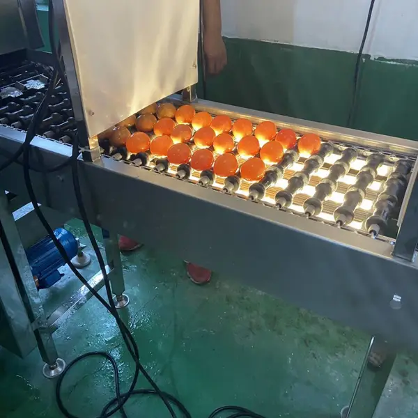 KRT-300 鸡蛋洗蛋机 蛋类清洗流水线生产厂家