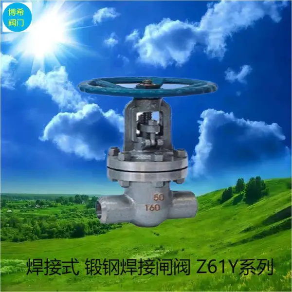 ��ϣ��Ӧ ����բ�� ���ֲ�����ֶ����� Z61H DN 80