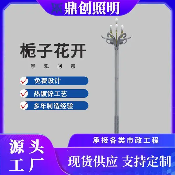 鼎创 户外亮化照明景观灯 LED路灯 栀子花开 市政路灯杆 公园道路