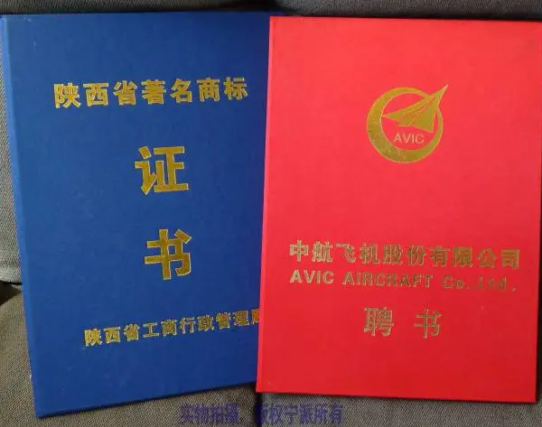 西安荣誉证书定制 获奖证书聘书 皮制会员证封皮烫金压痕 奖杯等办公文化用品加工
