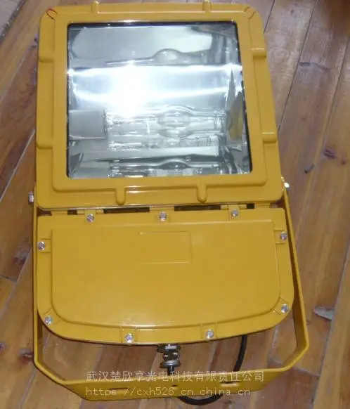 �¿�BGQ-02B����Ͷ��� 250W 400W ������200W ����LEDͶ���400W