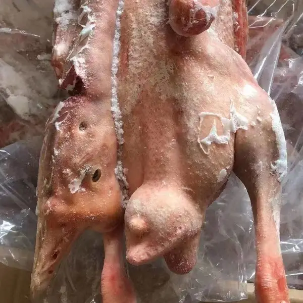 成一老鹅 净膛白条老鹅 大包鹅 卤鹅 烧鹅 盐水鹅