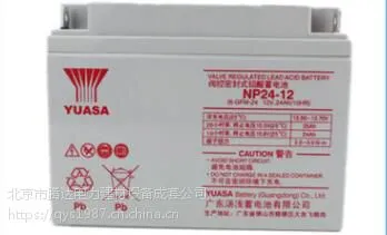 YUASA汤浅铅酸免维护蓄电池NP24-12 监控系统UPS电源12V24AH专用电瓶