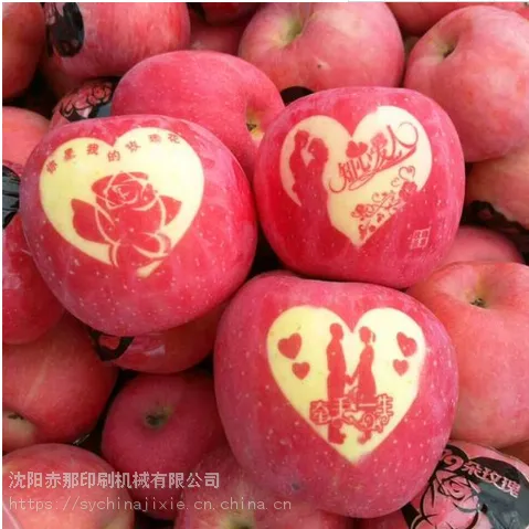 河南省灵宝市苹果印字机厂家,辽宁瓦房店红富士苹果印字机,山西省临猗县水果印字机器
