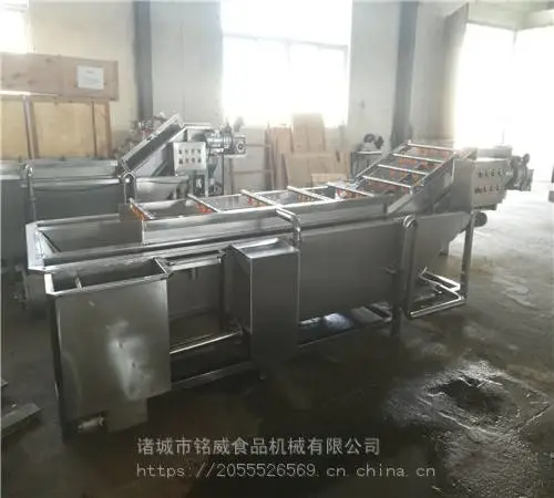山东蔬菜清洗机生产商 气泡式清洗机