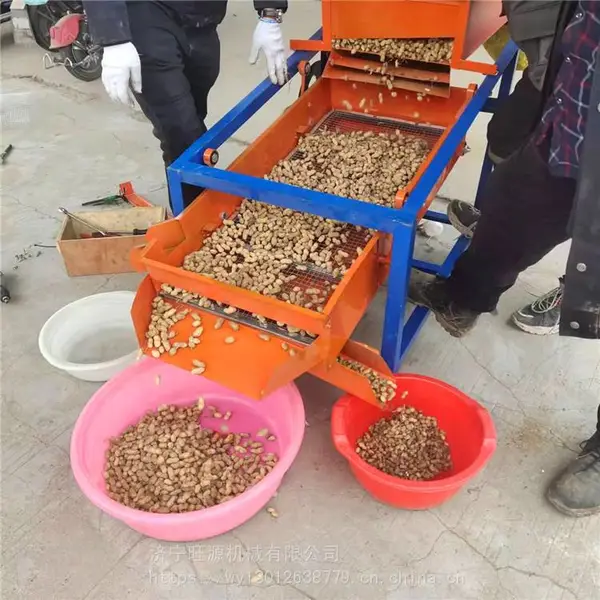 直线震动筛选机 电动粮食清选设备 黄豆种子精选机