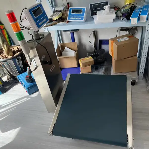 粉底液包装盒在线检重称重剔除 纸箱称重包装剔除皮带秤