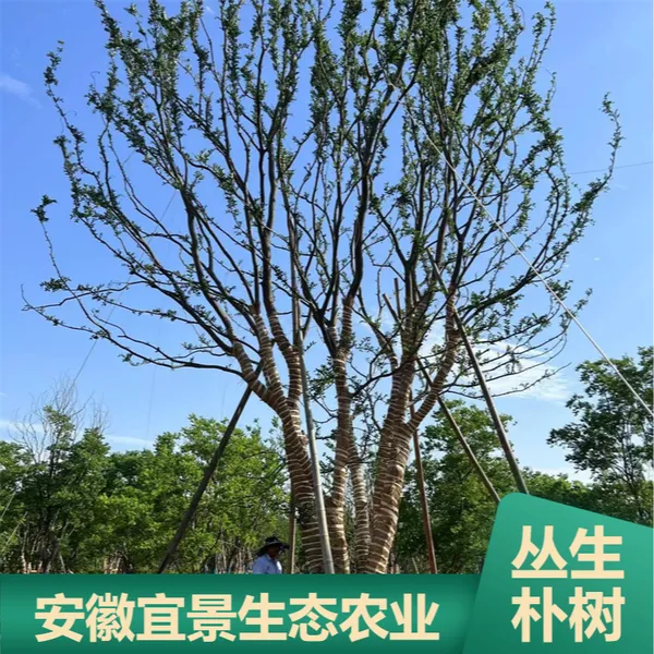 ԰���̻��Ǽܴ������� 3��5�������ٶȿ��������