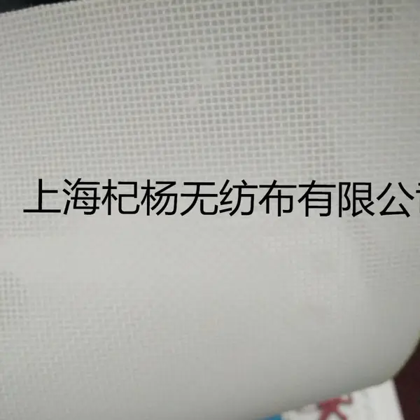 单丝滤布霍夫曼滚刷 HSF100S/K 过滤器 过滤带循环使用霍夫曼HOFFMAN