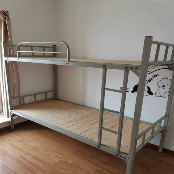 ��Ԣ������¹�ѧ�������ᴲ�����ɿ���������