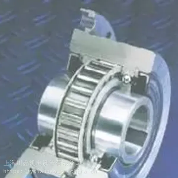 ���ƹ�Ӧ RINGSPANN��ҵɲ�� RINGSPANN��ҵɲ��