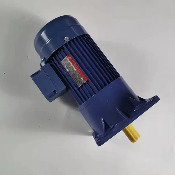 厦门东历电机PF22-0100-300C游乐设备用YS100W-4P台湾东力单相电动机