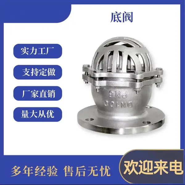 升降式水泵底阀 H42X-6 DN125 铸铁法兰底阀 莲蓬头阀门水力控制南高