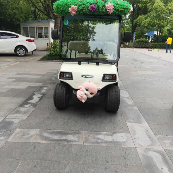 绿通四轮电动观光车11座游览公园学校多功能车