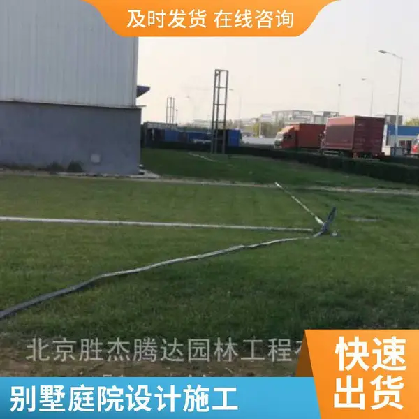 家庭花园设计混播草坪家庭庭院绿化批发草坪铺装室外房山
