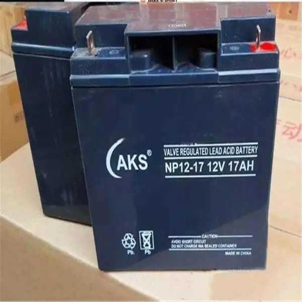 �¿�������NP12-24 12V24AH���۶��ٵ���