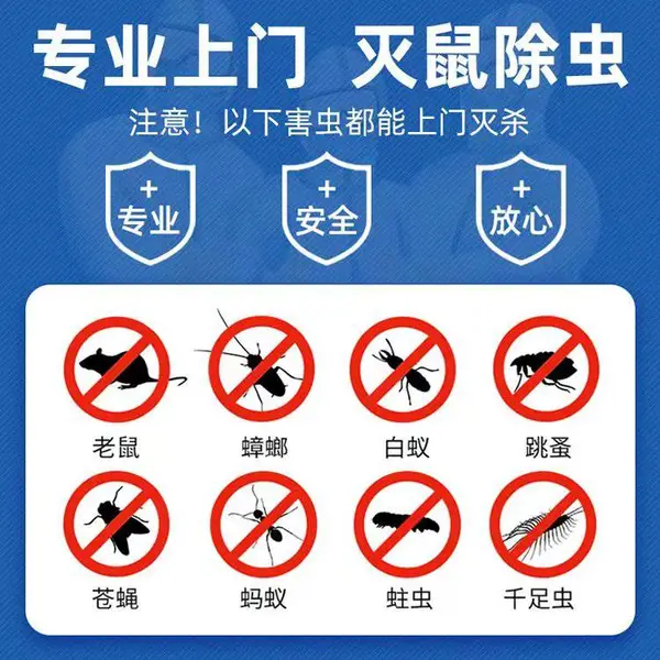 上海小区除虫服务,灭鼠上门服务,灭白蚁除跳蚤除蟑螂