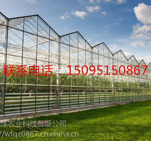 陕西智能玻璃温室的价格 玻璃温室厂家 文洛式玻璃温室