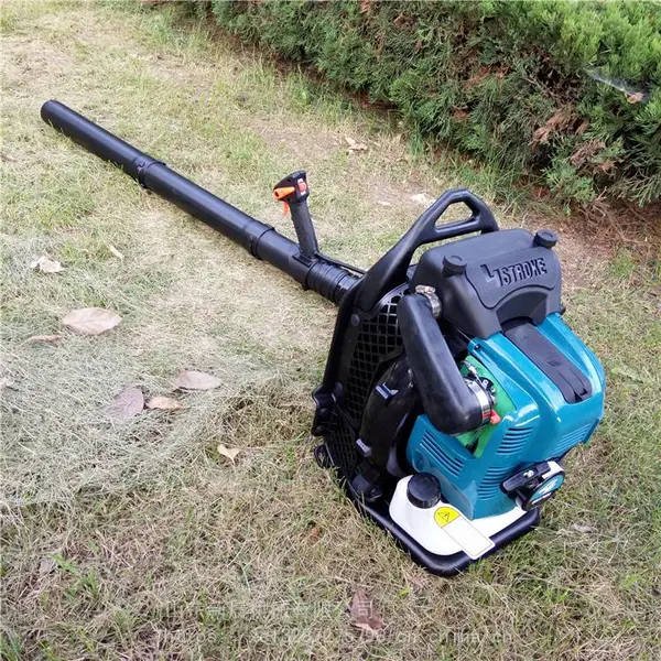 �³�·���������紵���� ��Ҷ��ɨ�� �ĳ�̷������� ���ʹ����