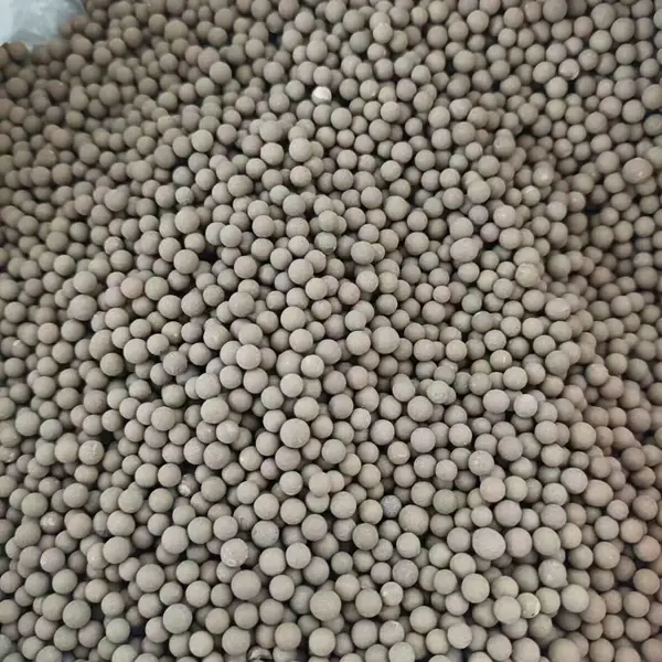 英菲达生物菌剂之菌颗粒 活性菌种 净化水质 全溶水 非全溶