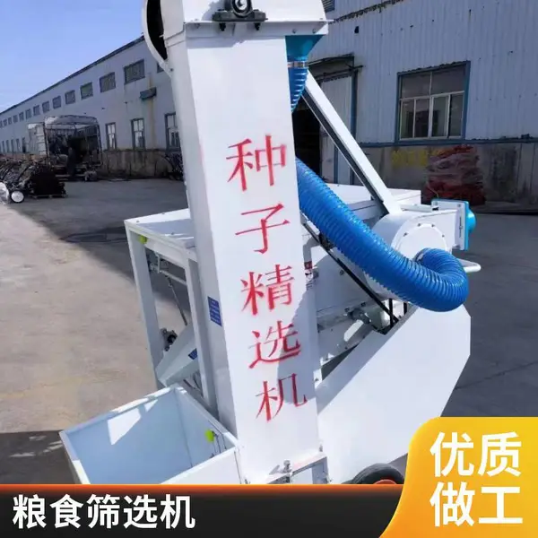 小麦选种机 全自动种子精选机 小型粮食自动筛选去杂机 清粮机