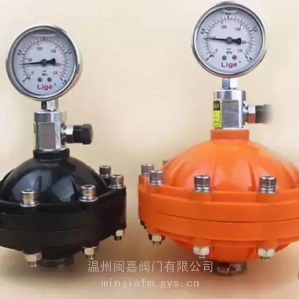 闽嘉环保 气囊式脉动阻尼器 带压力表缓冲器 计量泵缓冲均流器