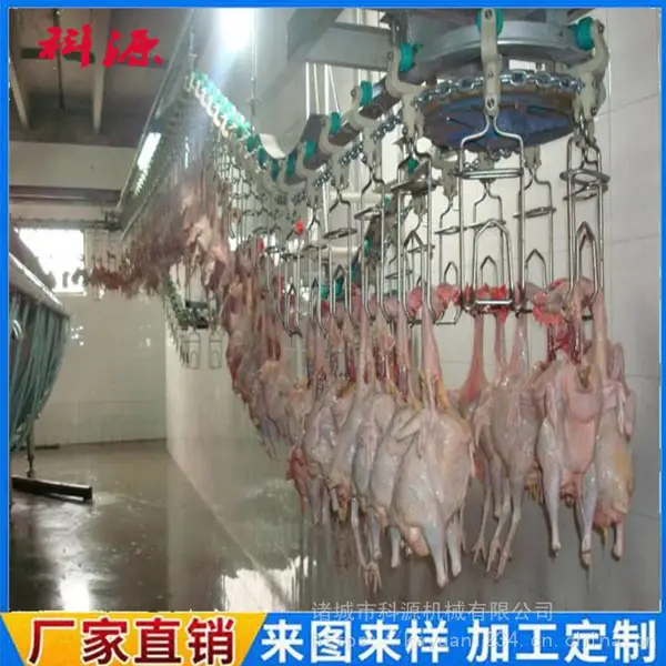 肉食鸡屠宰流水线 鸡屠宰流水线精选厂家 厂家直供