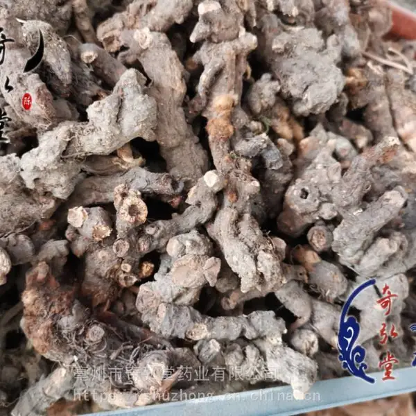 中药材马尾参的功效与用法