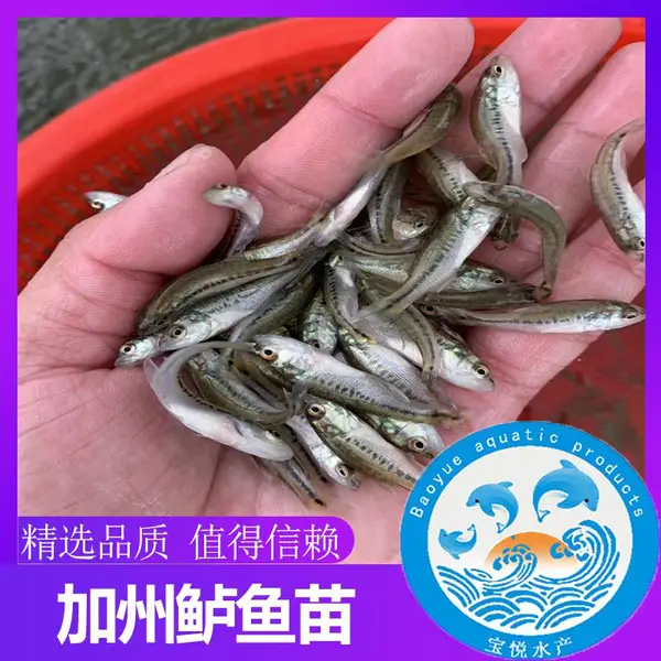 ���������糡������������ֳ���� ������������������