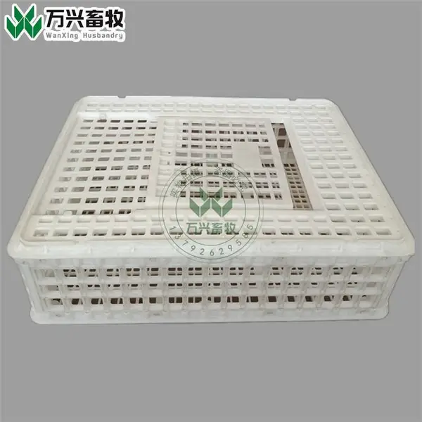 供应万兴畜牧鸡用运输笼