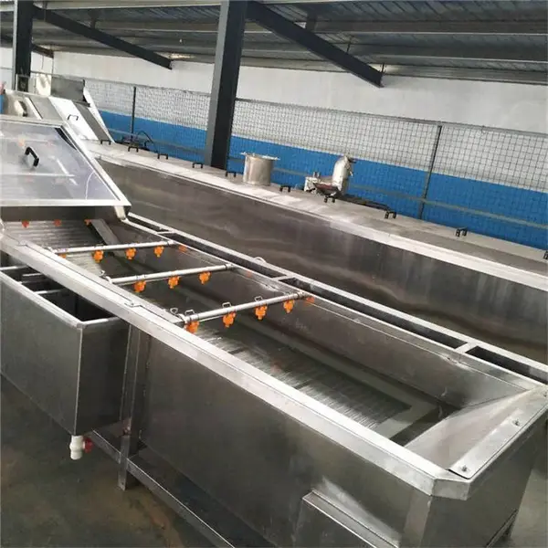 菠菜芹菜清洗机 豆角清洗机器 黄瓜气泡清洗机 源头厂家